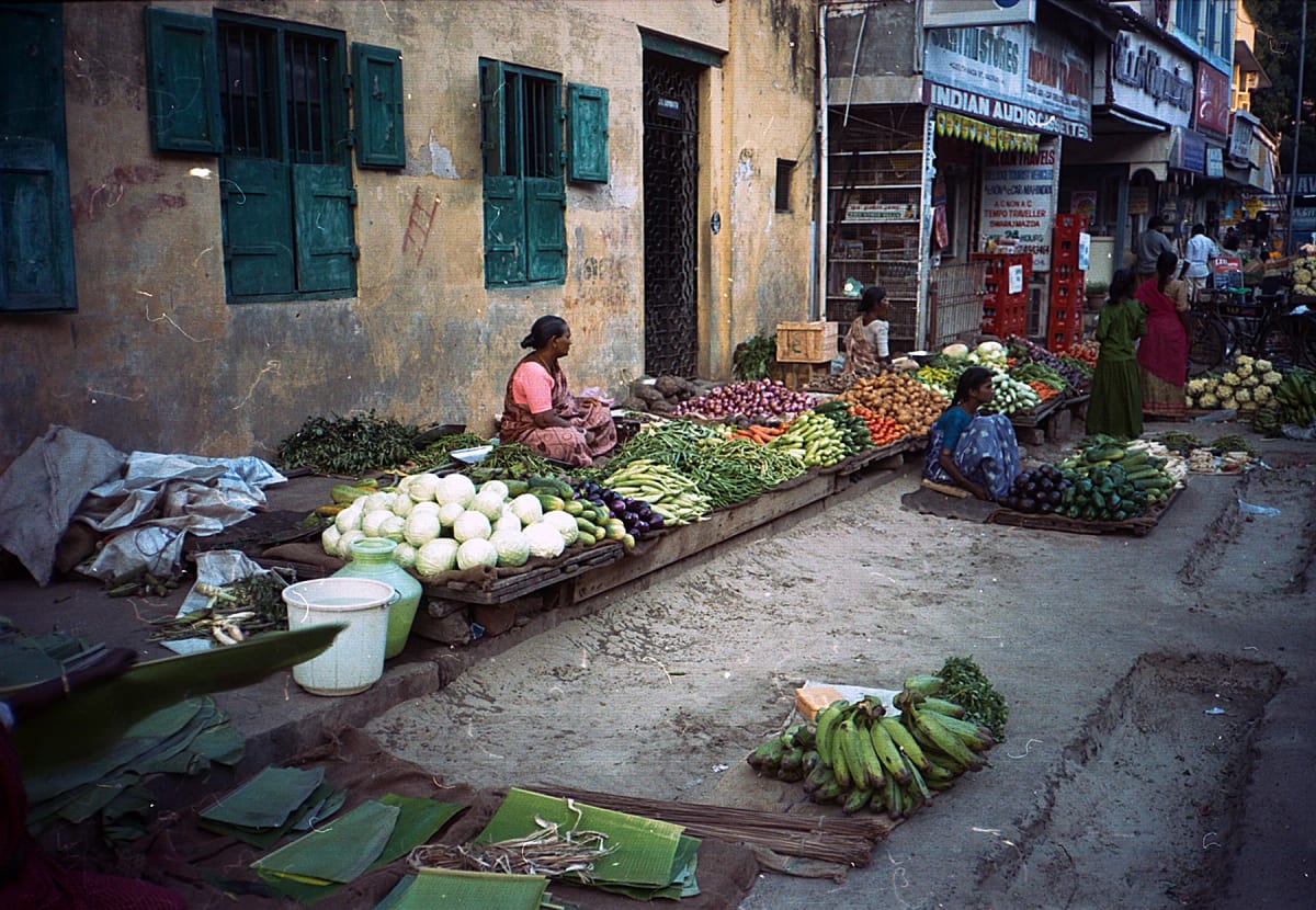 Fieldwork photograph